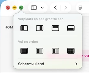 Split view menu