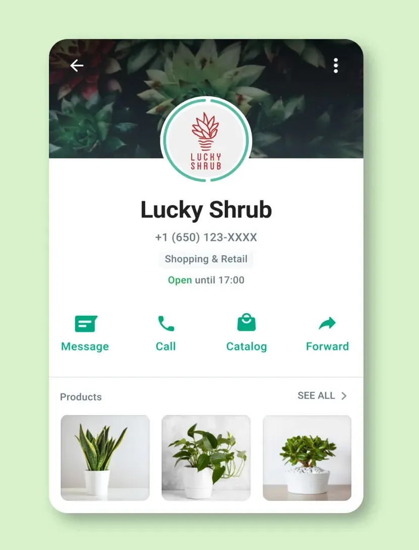 WhatsApp Business Mac